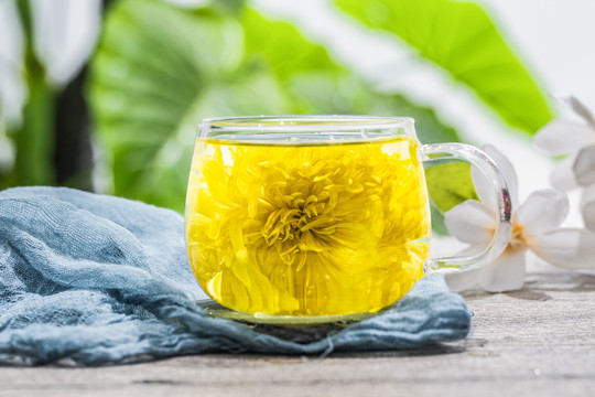 金丝皇菊