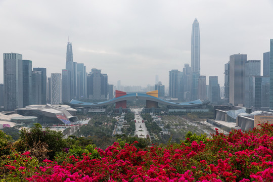 深圳都市风光