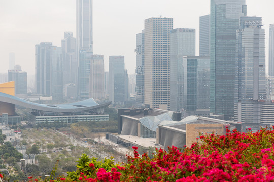 深圳都市风光