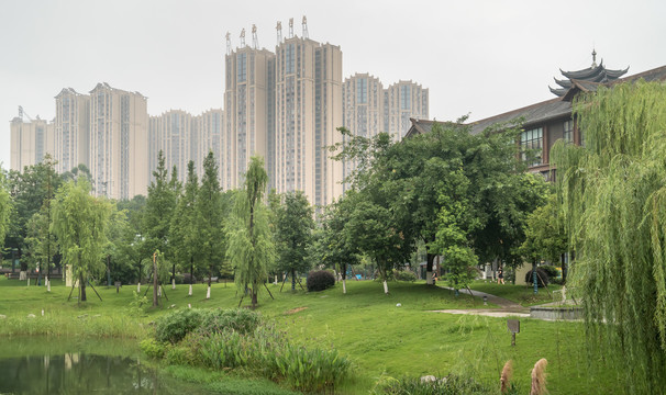 湿地公园城市高楼