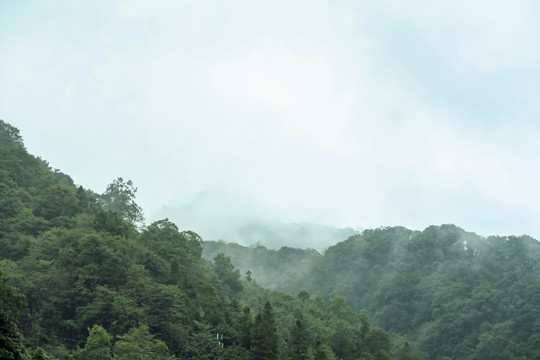 云雾中的青城山后山