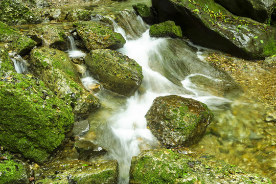 青城山后山溪水瀑布