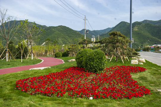 道路绿化