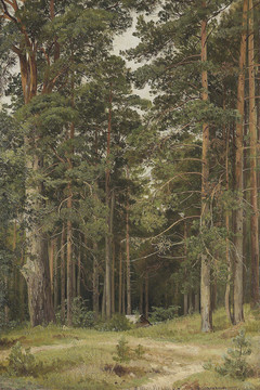 希施金森林风景油画