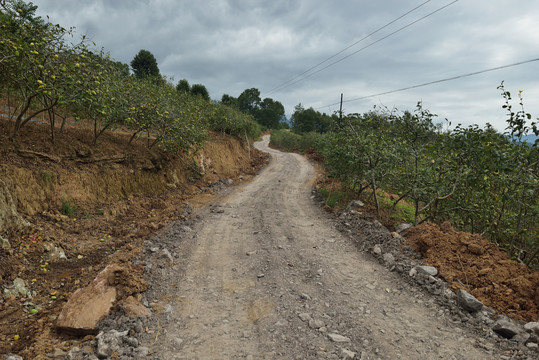 山区公路