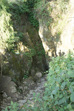农村小路