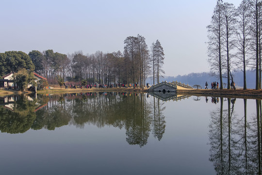 东湖绿道晨景