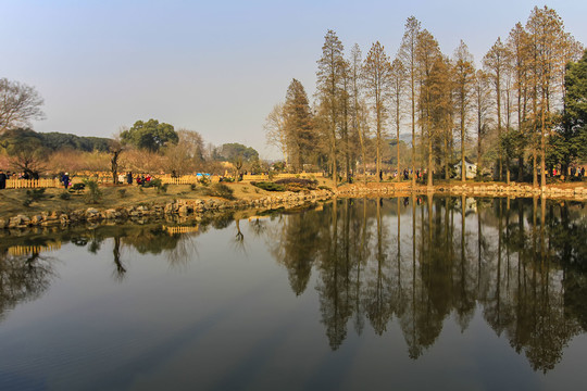 东湖冬日暖阳风光