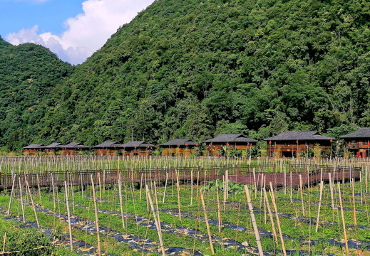 茂兰水葩美丽乡村