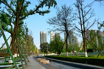 成都江滩公园风景