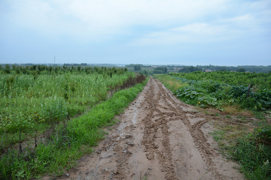 泥泞土路