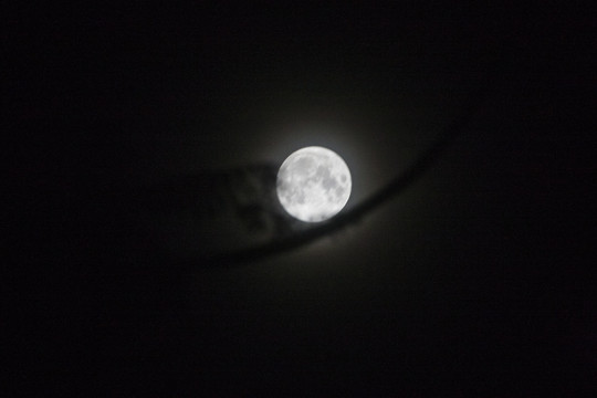 圆月圆月亮月亮素材