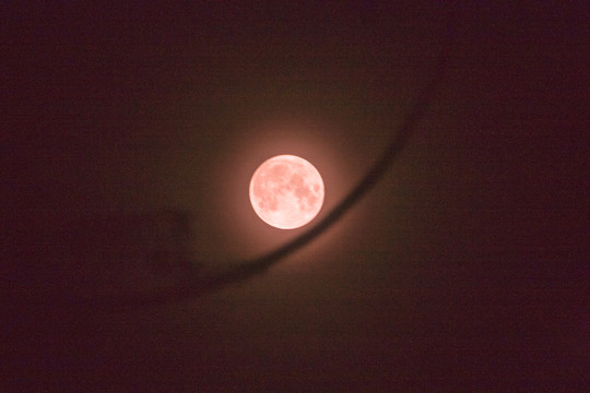 月上树梢圆月圆月亮