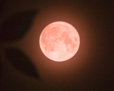 圆月圆月亮月亮特写红月亮