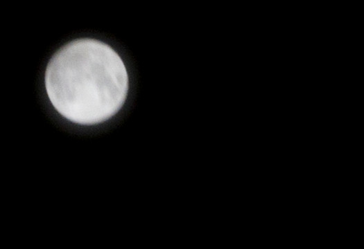 圆月圆月亮明月满月