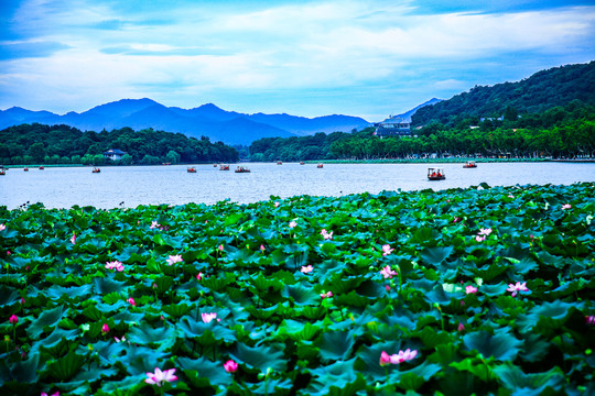 西湖山水画