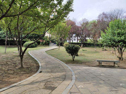 公园绿植与步行道