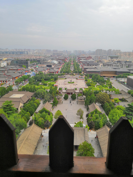 城市绿植