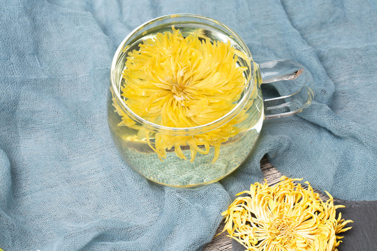 金丝皇菊