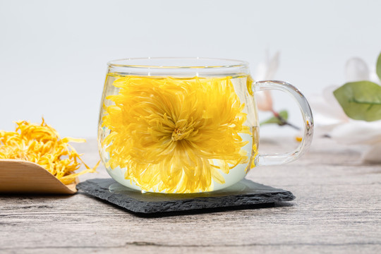 金丝皇菊