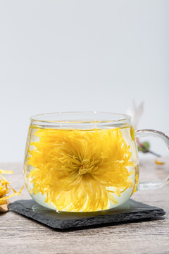 金丝皇菊
