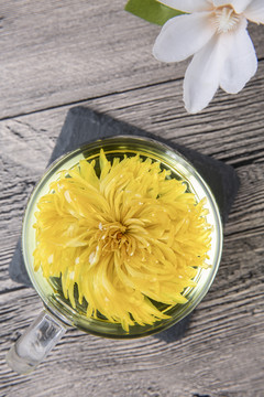 金丝皇菊