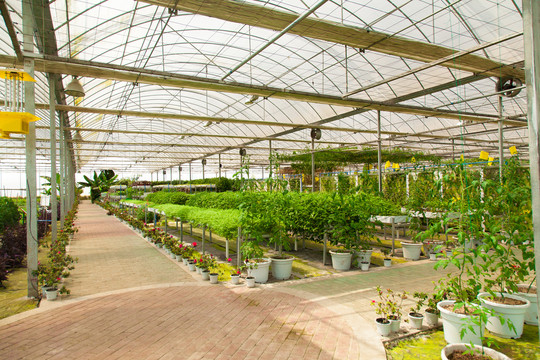 科学生态种植菜园