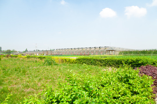 科学生态种植菜园