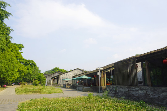 成都蒲江西来古镇街道民居