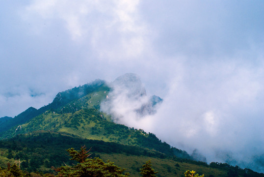 秦岭光头山