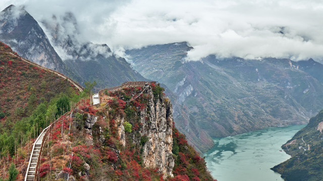 巫峡红叶