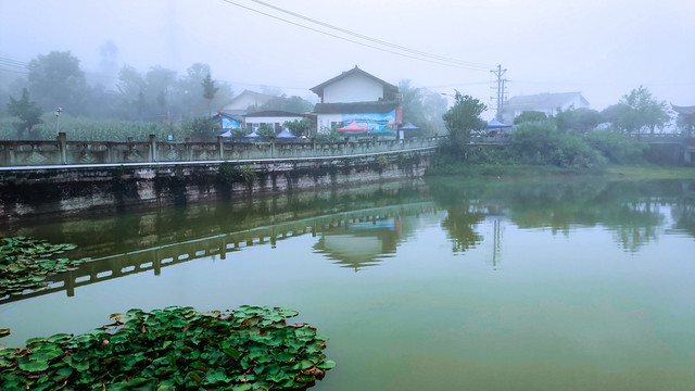 兰家山大鱼塘晨雾