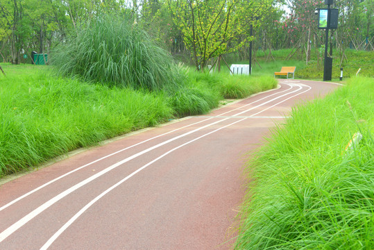 成都经开区东风渠绿道公园步道