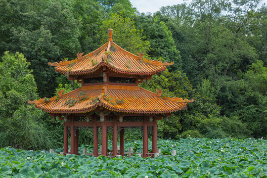 绵阳富乐山