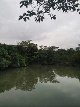 杭州西溪国家湿地公园