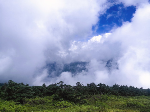 秦岭光头山