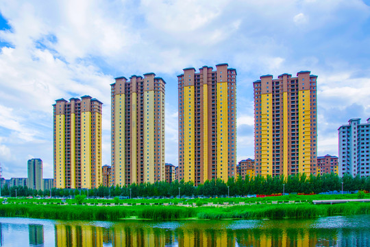 万水河对岸高层建筑群与水草