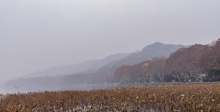 西湖秋景