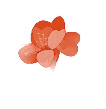小清新水彩风橙色花蕊花朵插画