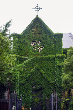 老上海爬墙虎教堂堂