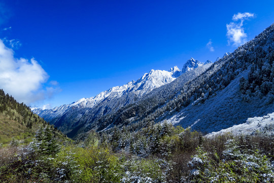 川西高原毕棚沟景区雪山