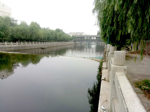 沿河风景