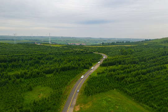 草原天路