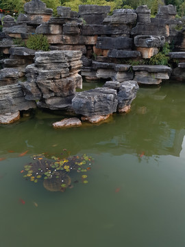 池塘景观石