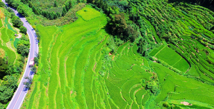 紫鹊界梯田夏季航拍