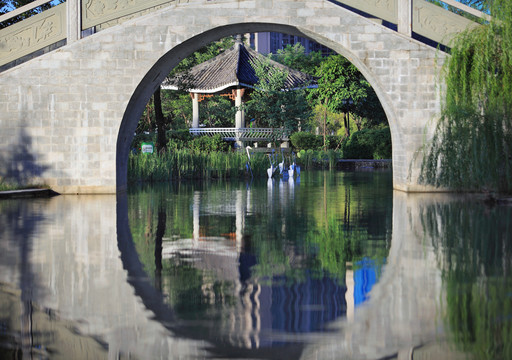 中山湿地公园