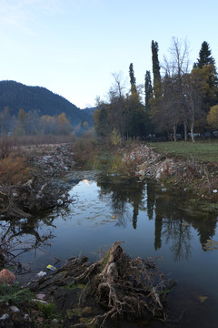 山谷清泉