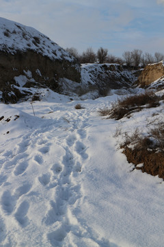 雪地足印