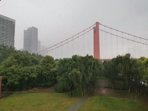 雨中的大桥