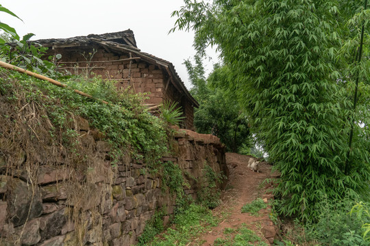 川西民居土坯老房子